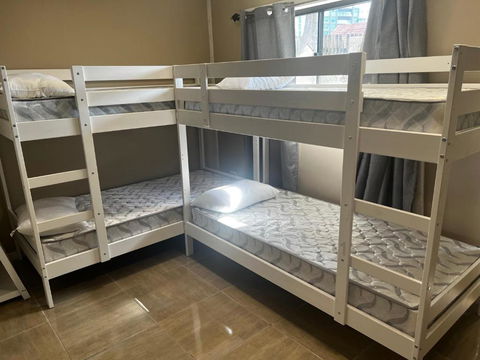 Palm Hamilton Backpacker - Accommodation Brisbane 3