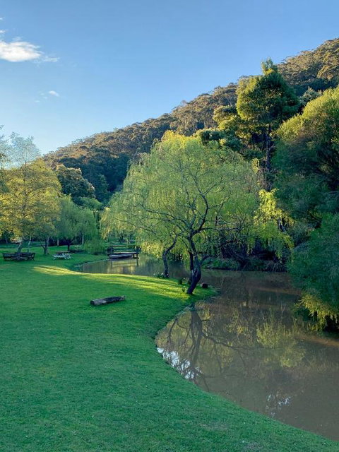 Pennyroyal Otways Retreat - Accommodation Brisbane 3