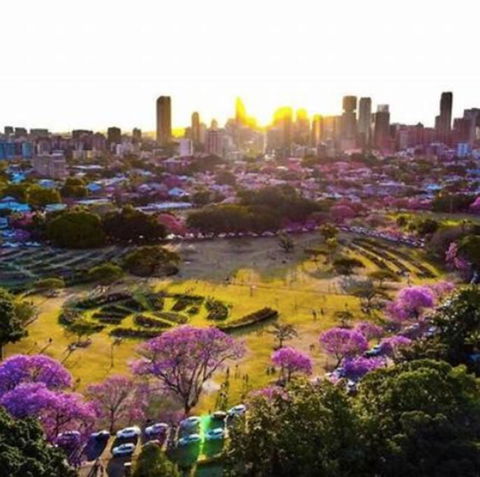 Perfect Haven In Spring Hill 2B1B And Parking - Accommodation Brisbane 2