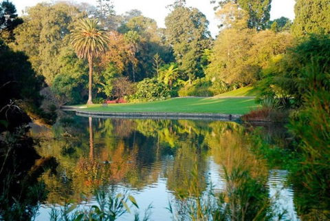 Perfect Parkside Princess Hill Retreat Sleeps 6 - Accommodation Brisbane 2