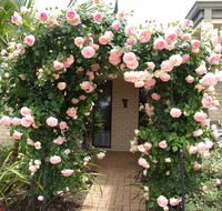 Baudins of Busselton Bed and Breakfast