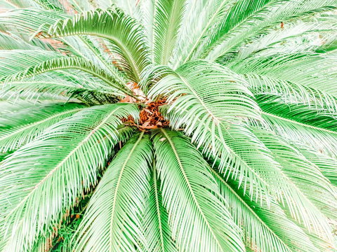 Bay & Basin - Accommodation Brisbane 3