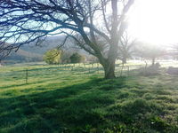 Book Dadswells Bridge Accommodation Vacations Accommodation Brisbane Accommodation Brisbane
