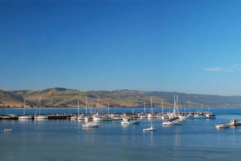 BAY VUE - Top Floor Apartment, Amazing Views! - Accommodation Brisbane 2