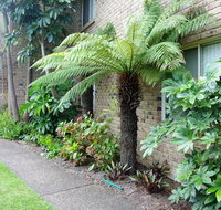 Beachfront Apartments