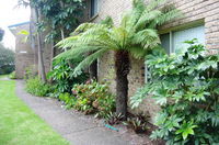 Beachfront Apartments