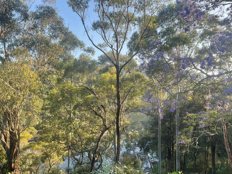 River Retreat - Accommodation Brisbane 1