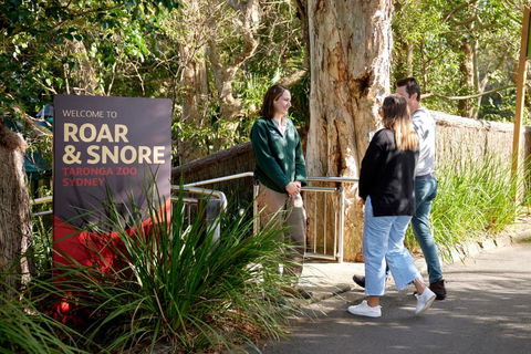 Roar And Snore - Accommodation Brisbane 1