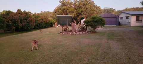 Roo Or 2 On Streeter - Accommodation Brisbane 2