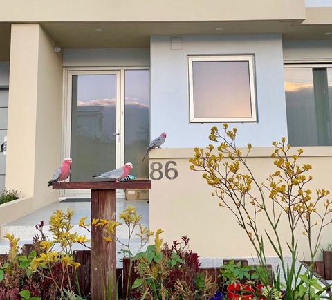 Sorrento Bluewater Apartment - Accommodation Brisbane 2