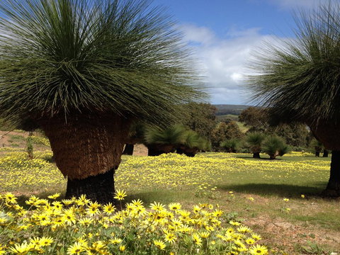 Bed + Bauhaus - Accommodation Brisbane 1