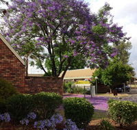 Belvoir Village Motel  Apartments Wodonga - Accommodation Brisbane