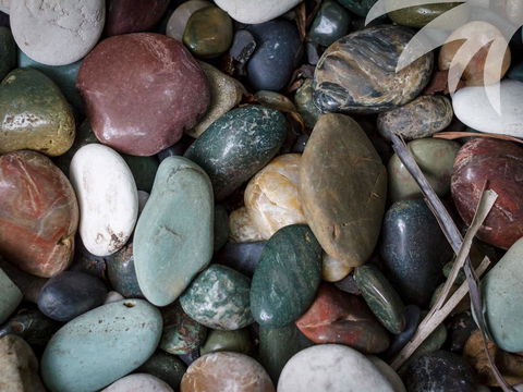 Bessou - Accommodation Brisbane 1