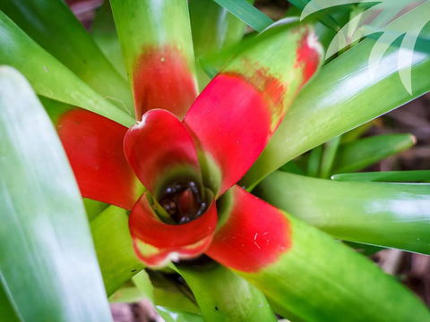 Bessou - Accommodation Brisbane 2