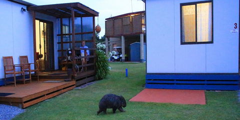 BIG4 Kelso Sands Holiday & Native Wildlife Park - Accommodation Brisbane 0