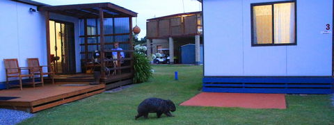 BIG4 Kelso Sands Holiday & Native Wildlife Park - Accommodation Brisbane 2
