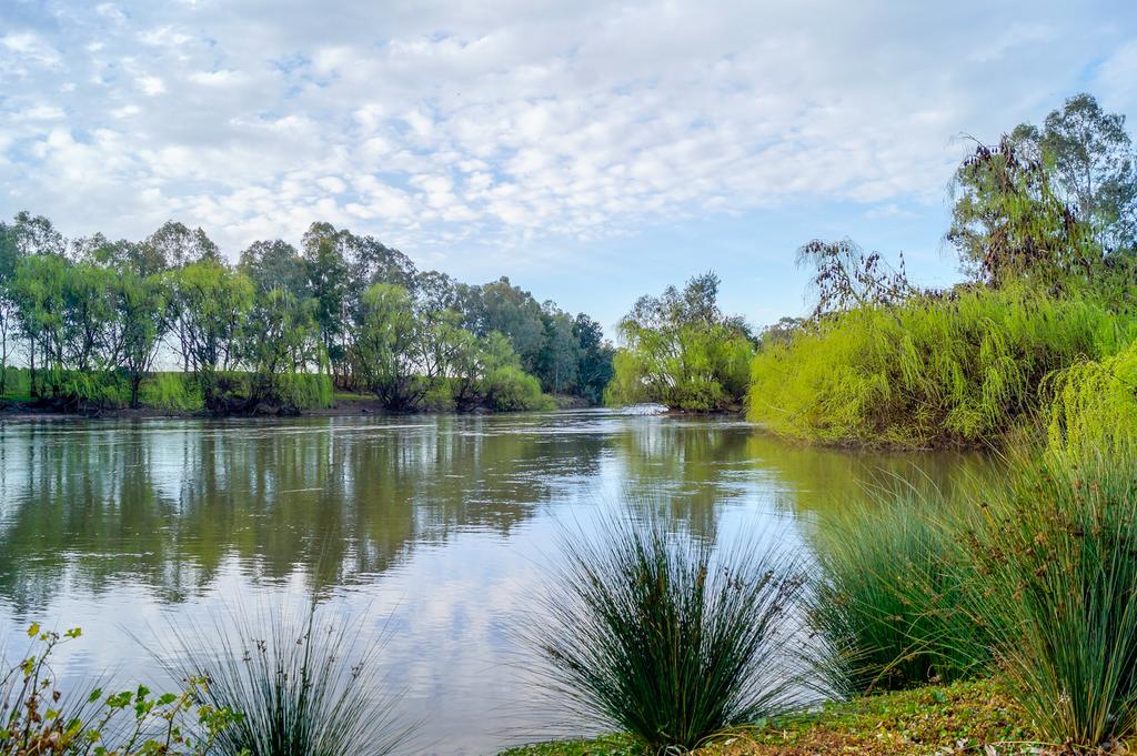 Springvale NSW Accommodation Brisbane