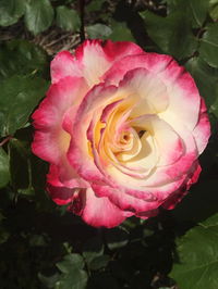 Book Yarck Accommodation Vacations Accommodation Brisbane Accommodation Brisbane