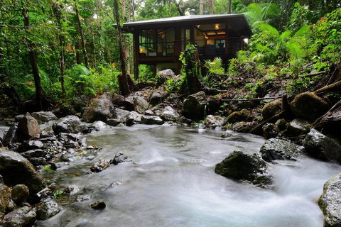Black Palm Cape Tribulation - Accommodation Brisbane 2