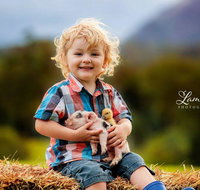 Blackwattle Farm - Accommodation Brisbane