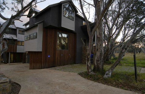 Blue Ice - Accommodation Brisbane 1