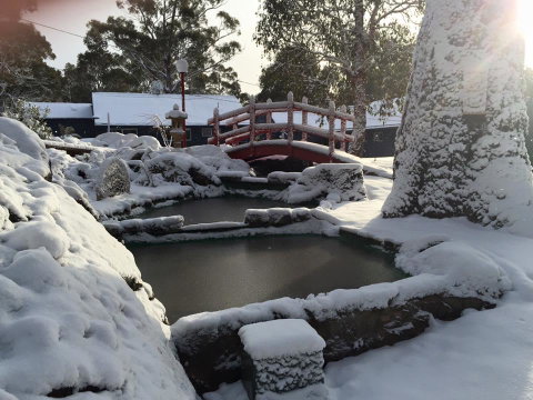 Blue Lake Lodge - Accommodation Brisbane 3