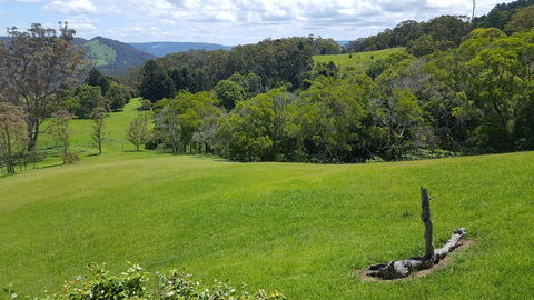 Blue Summit Cottages - Accommodation Brisbane 3
