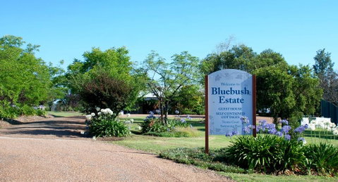 Bluebush Estate - Accommodation Brisbane 0