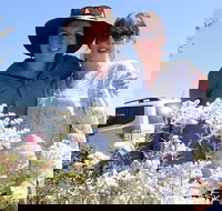 Spring Wildflower Private Day Tours - Accommodation Brisbane