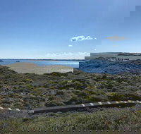 Penguin Island And Fremantle - Canoe Chocolate  Coffee - Accommodation Brisbane