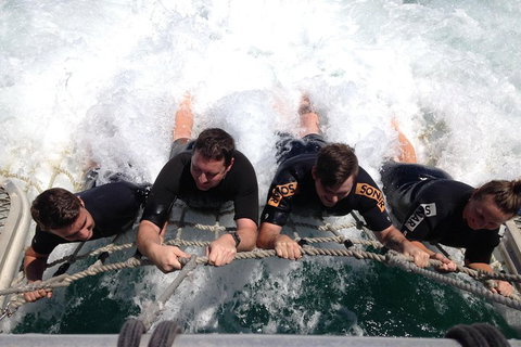 Cruise In Moreton Bay Marine Park And Moreton Island - Accommodation Brisbane 0