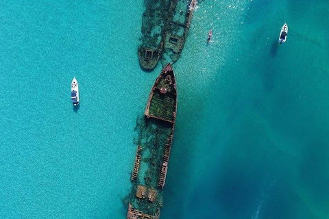 Cruise In Moreton Bay Marine Park And Moreton Island - Accommodation Brisbane 1