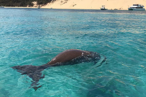 Cruise In Moreton Bay Marine Park And Moreton Island - Accommodation Brisbane 2