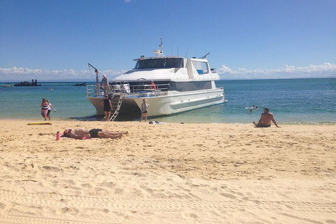 Cruise In Moreton Bay Marine Park And Moreton Island - Accommodation Brisbane 4