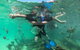 Cruise In Moreton Bay Marine Park And Moreton Island - thumb 5