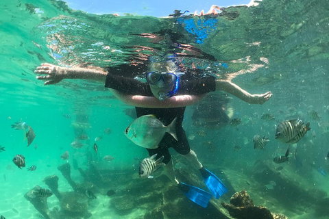 Cruise In Moreton Bay Marine Park And Moreton Island - Accommodation Brisbane 5