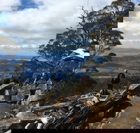 kunanyi / Mt Wellington Explorer Bus - 2 Hour Return Tour - Accommodation Brisbane