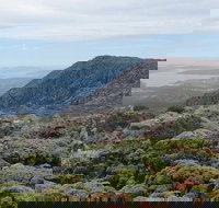 kunanyi/Mt Wellington Explorer Bus - One Way Tour - Accommodation Brisbane