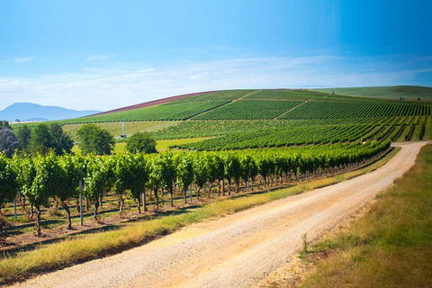 Full Day Tamar Valley Wine Tour - Accommodation Brisbane 1