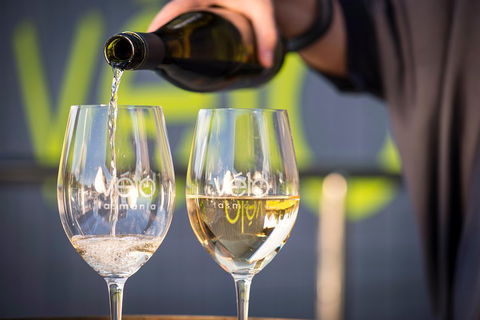 Full Day Tamar Valley Wine Tour - Accommodation Brisbane 2