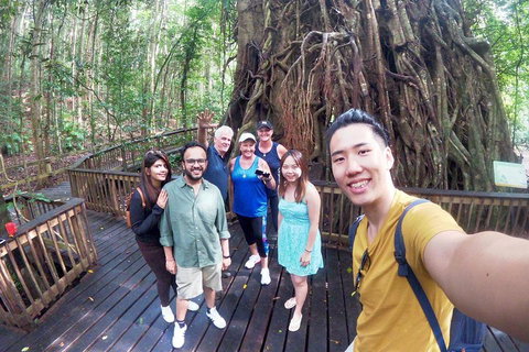 Cairns 4WD Waterfall And Rainforest Tour Including Kuranda Scenic Railway - Accommodation Brisbane 0