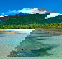 8-Day Cairns Tour Great Barrier Reef Kuranda Daintree Rainforest - Accommodation Brisbane