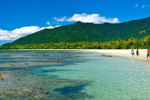 8-Day Cairns Tour: Great Barrier Reef, Kuranda, Daintree Rainforest - Accommodation Brisbane 0