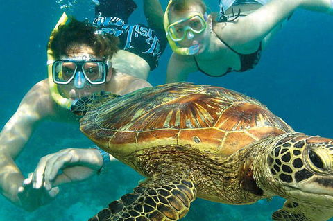 8-Day Cairns Tour: Great Barrier Reef, Kuranda, Daintree Rainforest - Accommodation Brisbane 1