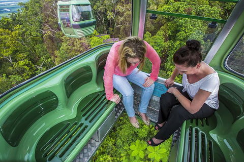 8-Day Cairns Tour: Great Barrier Reef, Kuranda, Daintree Rainforest - Accommodation Brisbane 3