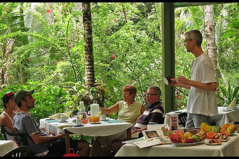 8-Day Cairns Tour: Great Barrier Reef, Kuranda, Daintree Rainforest - Accommodation Brisbane 4