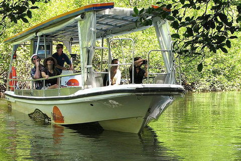 3-Day Best Of Cairns Combo: The Daintree Rainforest, Great Barrier Reef, And Kuranda - Accommodation Brisbane 4