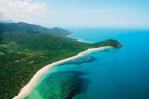 Cape Tribulation, Mossman Gorge, And Daintree Rainforest Premium Day Tour - Accommodation Brisbane 2
