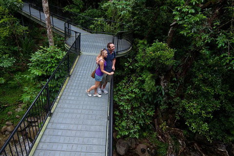 Cape Tribulation, Mossman Gorge, And Daintree Rainforest Premium Day Tour - Accommodation Brisbane 3
