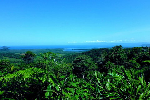 Cape Tribulation, Mossman Gorge, And Daintree Rainforest Premium Day Tour - Accommodation Brisbane 5